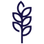 Climate icon
